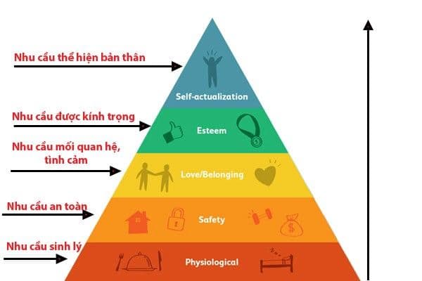 Tháp nhu cầu Maslow: Ứng dụng trong quản trị nhân sự và kinh doanh