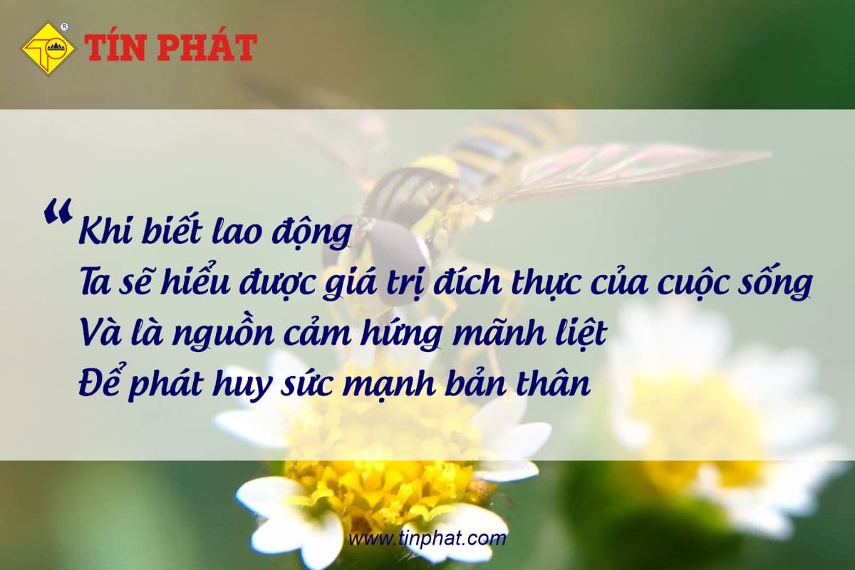 GIÁ TRỊ CỦA LAO ĐỘNG