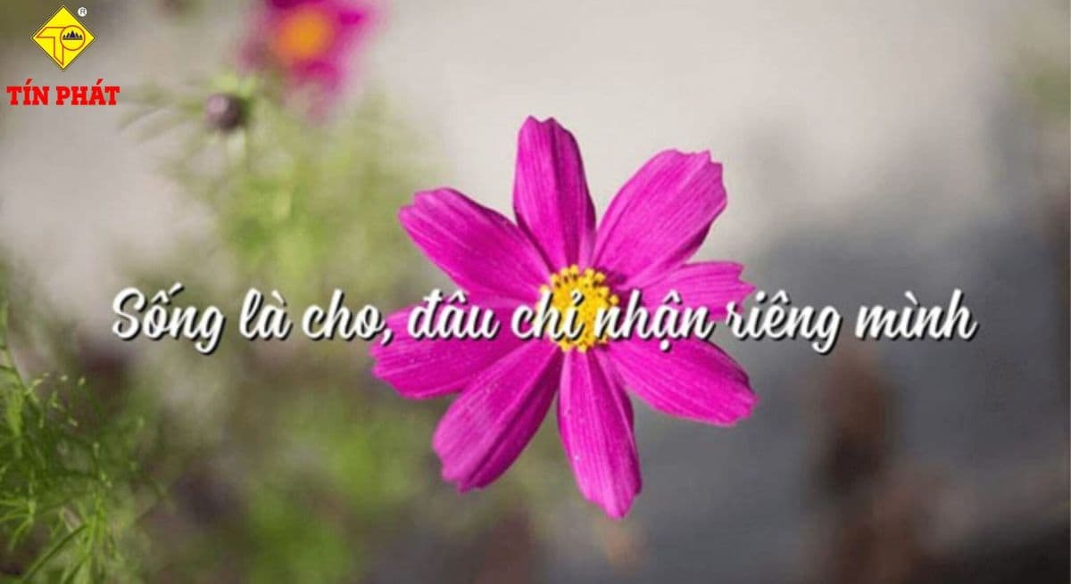 VĂN HÓA DOANH NGHIỆP: HỌC HỎI VÀ CHIA SẺ