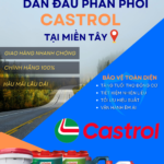 Tín Phát Group – Dẫn Đầu Phân Phối Nhớt Castrol Tại Miền Tây